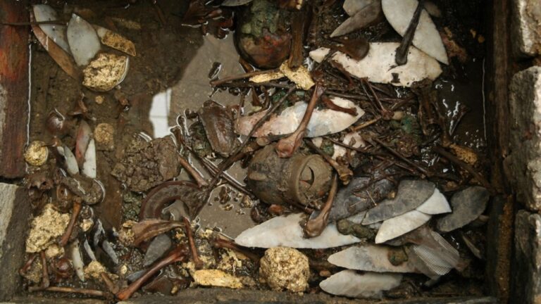 Pesquisadores estudam o Zoológico de Montezuma e o cativeiro de animais em Tenochtitlán