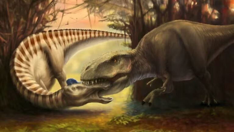 T-Rex atacou outro dinossauro em confronto fatal há 66 milhões de anos