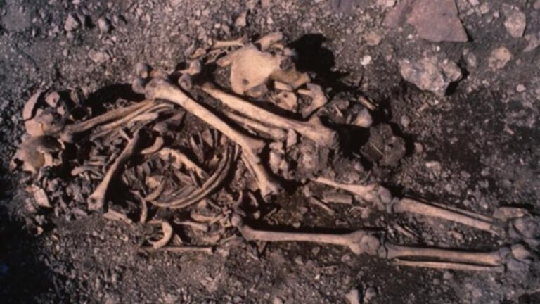 Túmulo da Idade da Pedra une ossos de pai e filha na Suécia