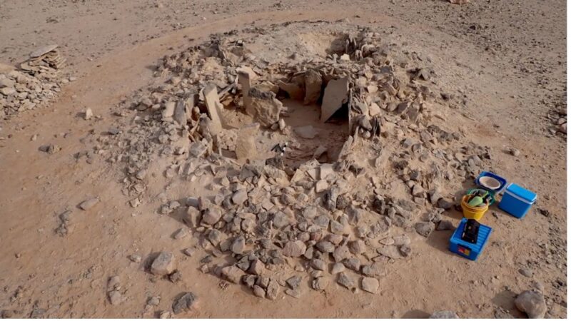 Humanos antigos caçavam e comiam tubarões há 7 000 anos