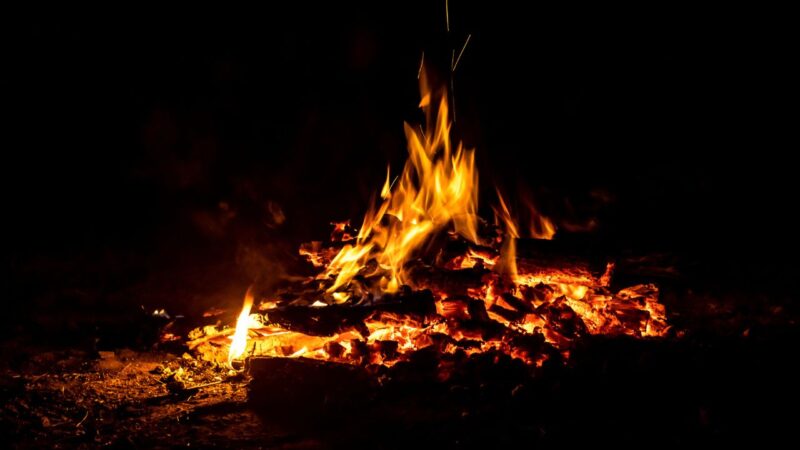 DNA humano sofreu alterações a partir do domínio do fogo, sugere estudo