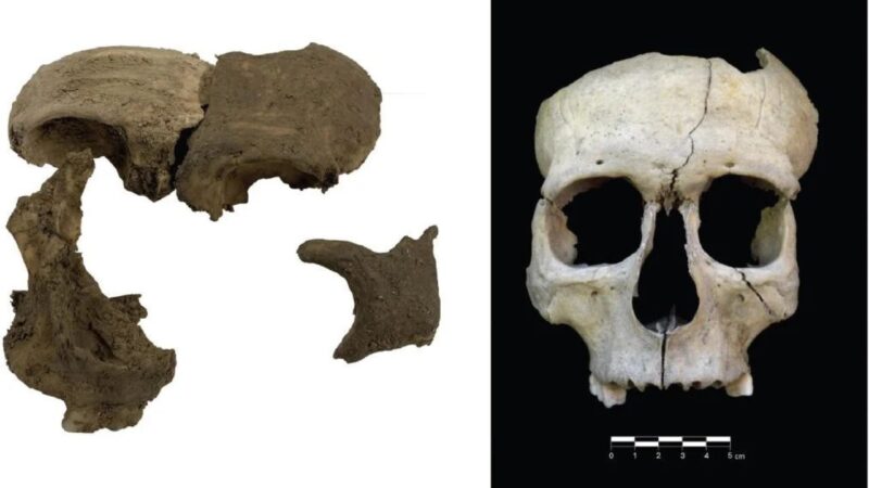 Arqueólogos descobrem ritual de decapitação entre grupos ibéricos da Idade do Ferro