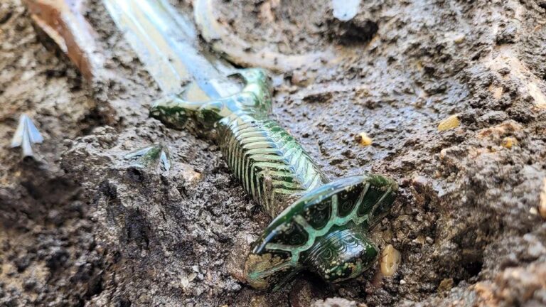 Espada de bronze com cerca de 3.400 anos é encontrada na Alemanha