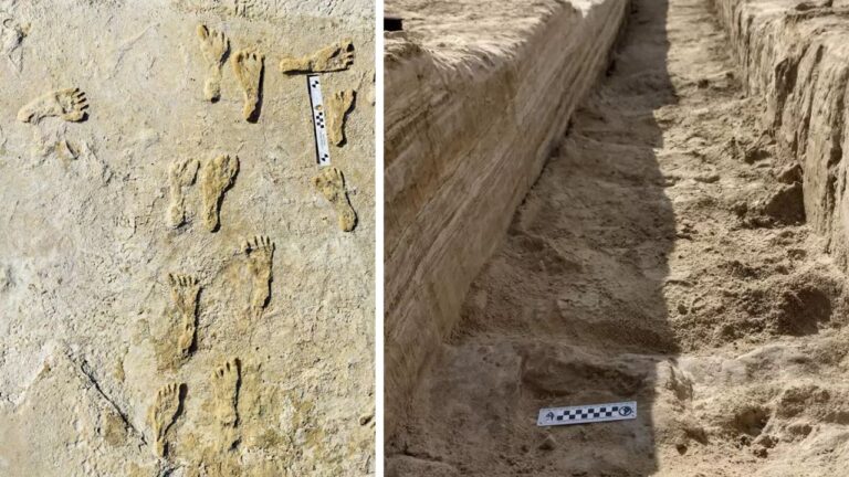 As pegadas de 23.000 anos que reescrevem a história da presença humana na América