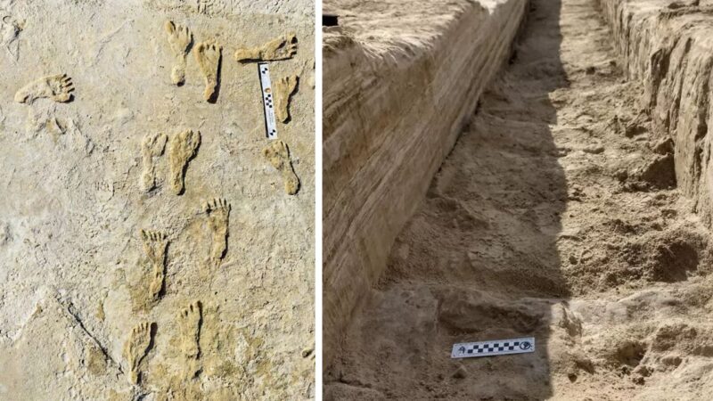 As pegadas de 23.000 anos que reescrevem a história da presença humana na América