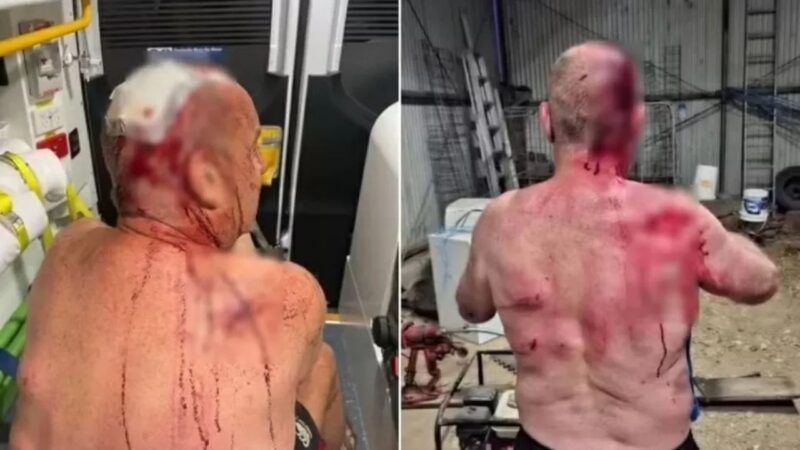 Na tentativa de salvar cachorro, homem é espancado por canguru