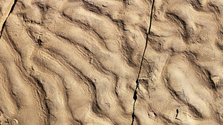Descoberta acidental no Marrocos revela vida em águas profundas