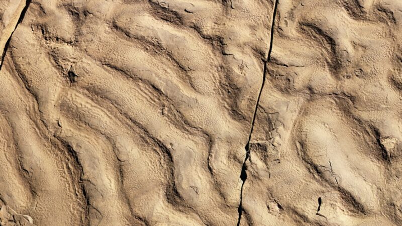 Descoberta acidental no Marrocos revela vida em águas profundas