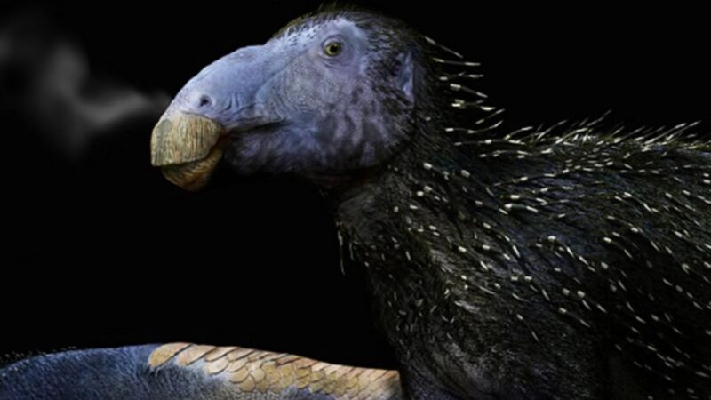 Nova espécie de dinossauro com espinhos ocos é identificada na China