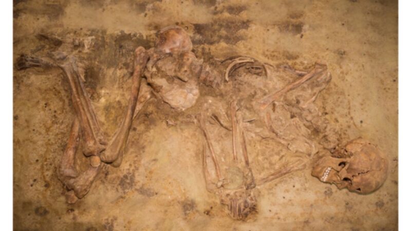 Estudo faz descoberta inédita sobre o Neolítico na Holanda
