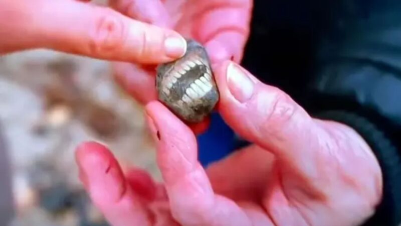 Mulher encontra “pedra sorridente” em ilha do Reino Unido