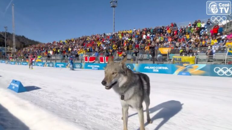 Cachorro ‘rouba’ a cena e afeta cronômetro do Brasil no esqui cross-country