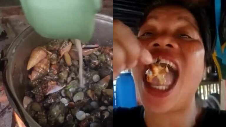 Influenciadora filipina morre após comer ‘caranguejo-do-diabo’ em vídeo