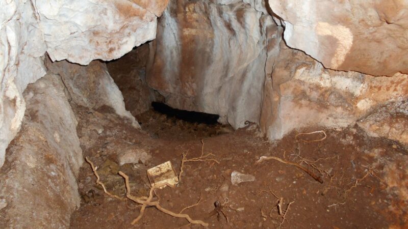Caverna revela restos humanos mais antigos do norte britânico