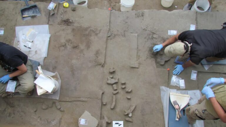 Ferramentas de 14.000 anos descobertas no Alasca revelam rota desconhecida da Ásia às Américas