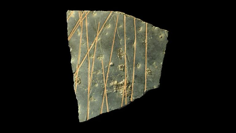 Gravuras de 60 mil anos em casca de ovos de avestruz revelam padrões geométricos