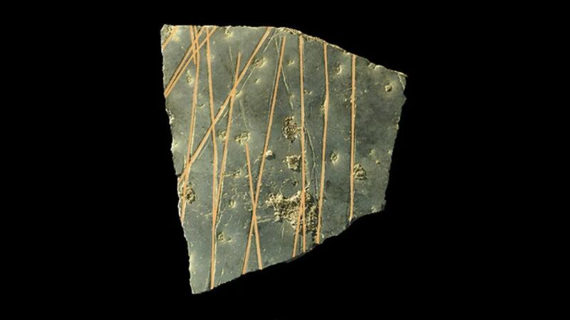 Gravuras de 60 mil anos em casca de ovos de avestruz revelam padrões geométricos