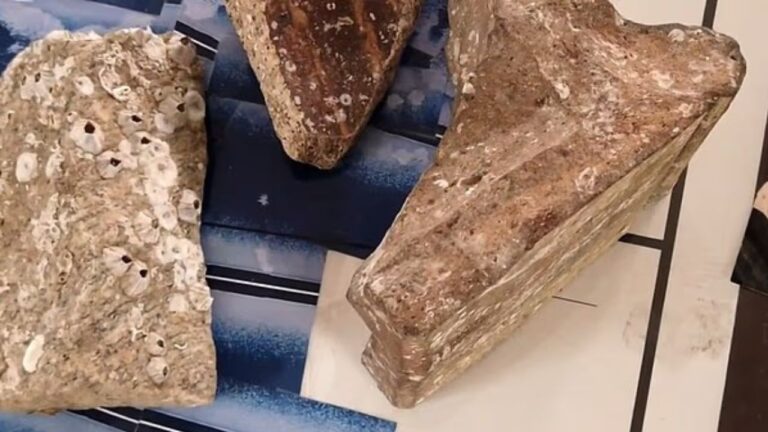 As explicações por trás da “cidade submersa” na Louisiana