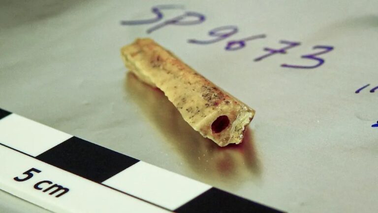 Osso encontrado revela parentesco entre dois neandertais com 10.000 anos de diferença