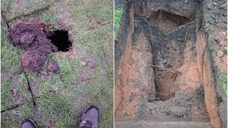 Adega do século 19 é descoberta sob campo de golfe na Inglaterra