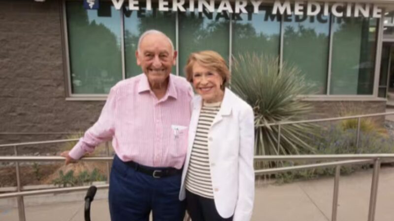 Casal faz maior doação da história veterinária após ter sua cachorrinha salva por universidade