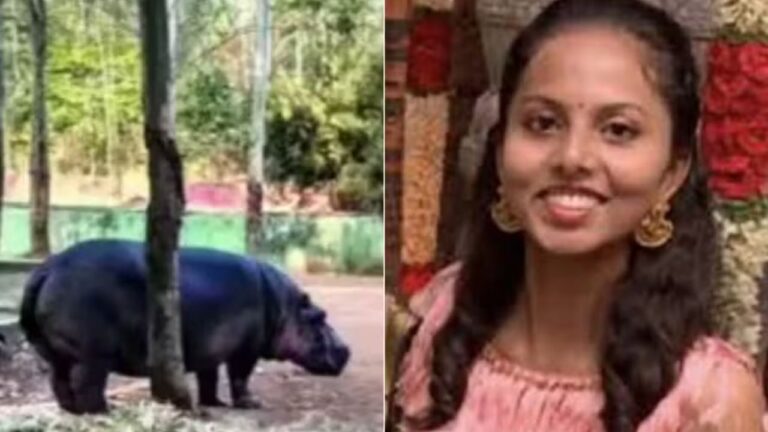 Veterinária morre após ataque de hipopótamo em zoológico na Índia