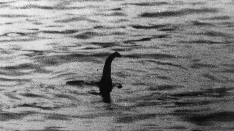 Caçador se surpreende ao filmar criatura misteriosa no Lago Ness