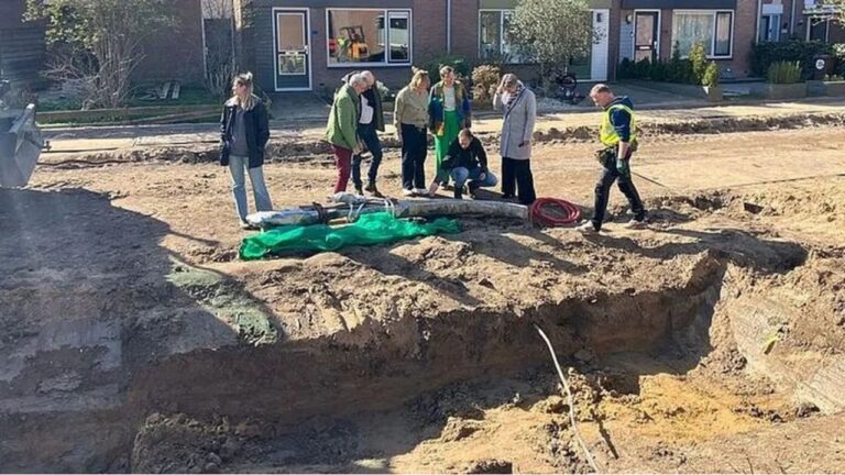 Parte de barco viking é encontrada durante obras de esgoto na Holanda