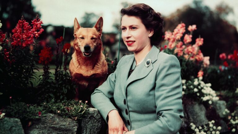 Os Corgis da Rainha Elizabeth II