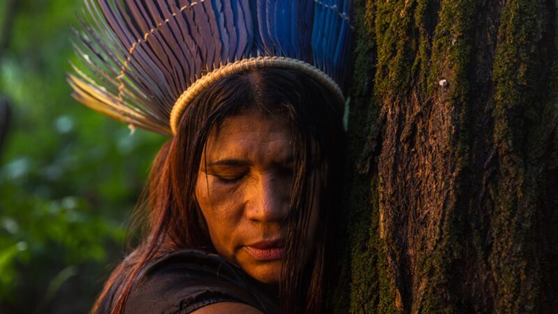 ‘Encantadas’: Expo conecta arte indígena da etnia Jenipapo Kanindé com a natureza