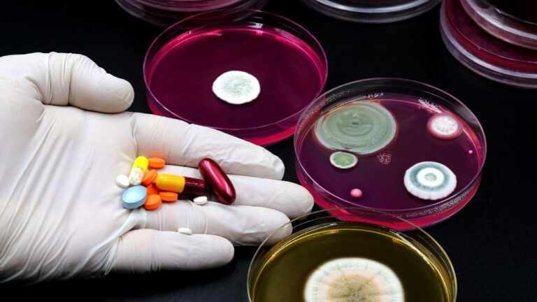 Seca pode aumentar quantidade de super bactérias resistentes a antibióticos
