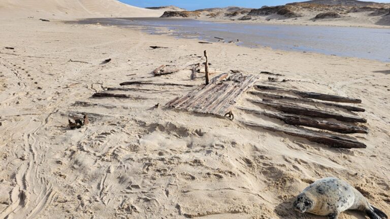Arqueólogos identificam navio da Marinha Britânica de 1812 no Canadá