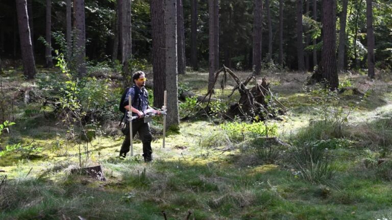 Cidade medieval abandonada misteriosamente é descoberta na Polônia
