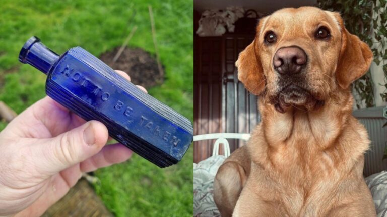 Cão desenterra garrafa possivelmente ligada a crime da Era Vitoriana na Inglaterra