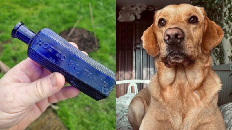 Cão desenterra garrafa possivelmente ligada a crime da Era Vitoriana na Inglaterra