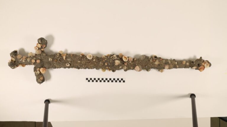 Espada medieval das Cruzadas é encontrada no fundo do mar em Israel