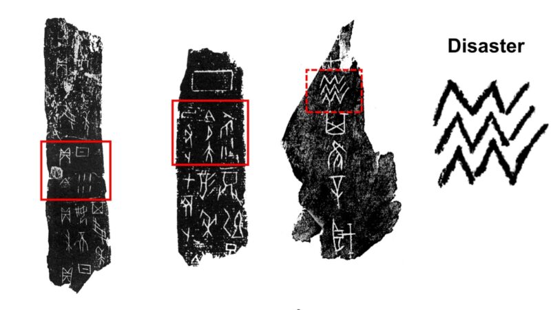 Estudo com ossos oraculares mostra como clima afetou importante dinastia da China