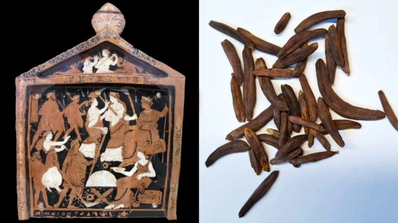 Rituais da Grécia Antiga podem ter utilizado fungo psicodélico, indica estudo