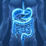 Estudo identifica gene ligado ao surgimento de tumores intestinais