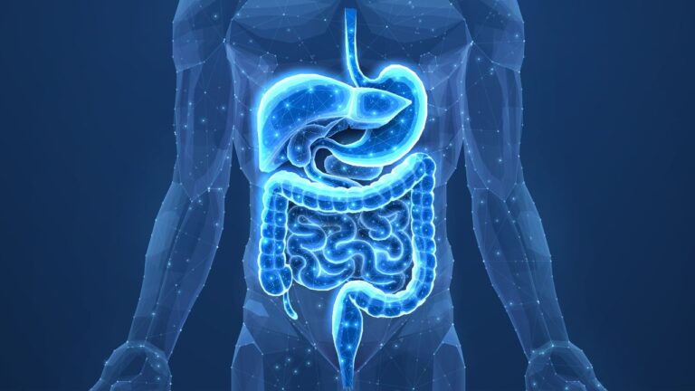 Vírus no intestino podem ajudar a controlar o açúcar no sangue