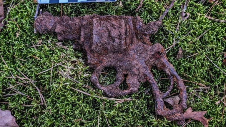 Revólver ‘British Bulldog’ do século 19 é achado em floresta na Polônia