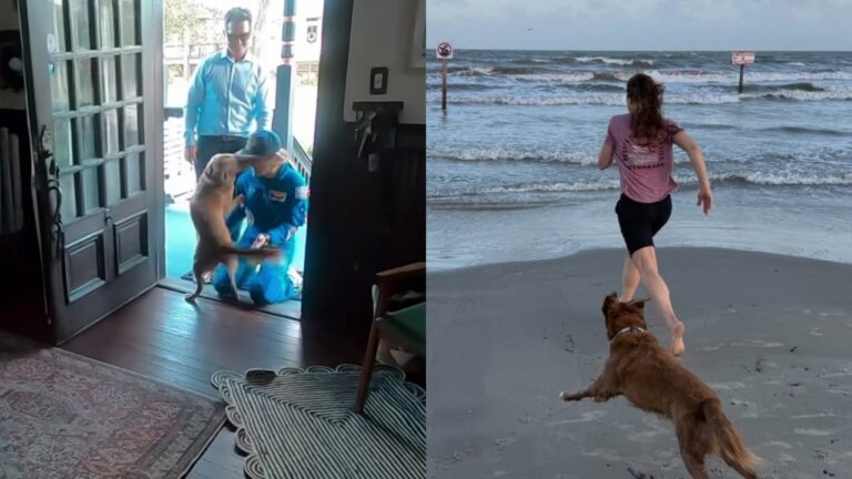 Astronauta da Artemis II mostra reencontro com seu cachorro