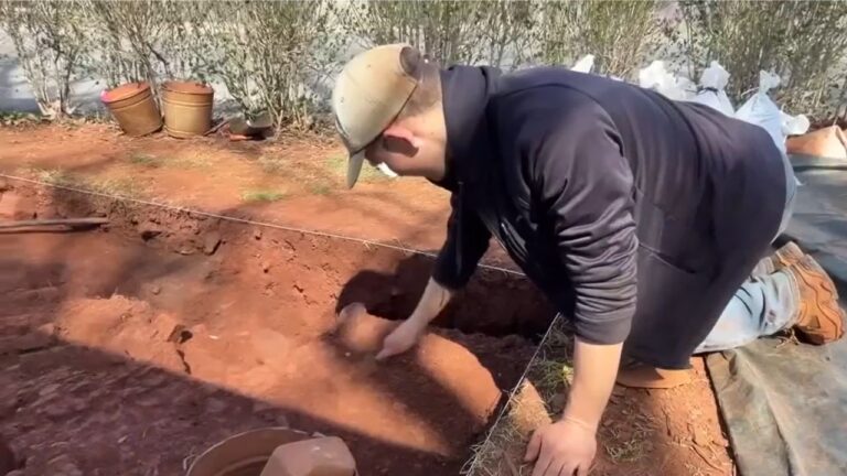 Forno do século 18 é encontrado na propriedade de Thomas Jefferson