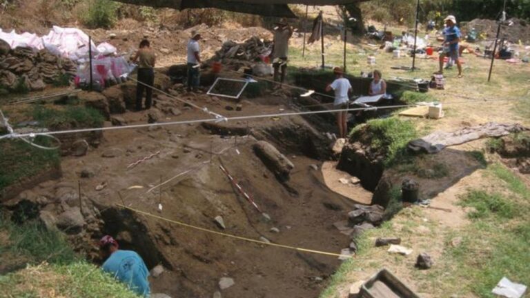 Análise de carvão revela quais madeiras os primeiros hominídeos usavam como lenha