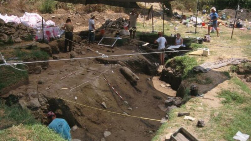Análise de carvão revela quais madeiras os primeiros hominídeos usavam como lenha