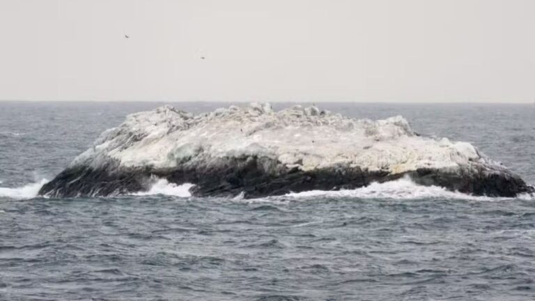 Exploradores descobrem ilha desconhecida na Antártica