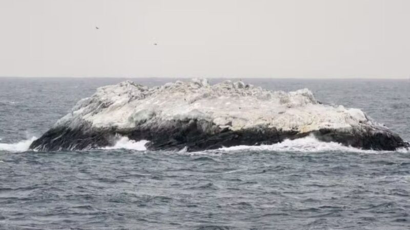Ilha Antártica capa