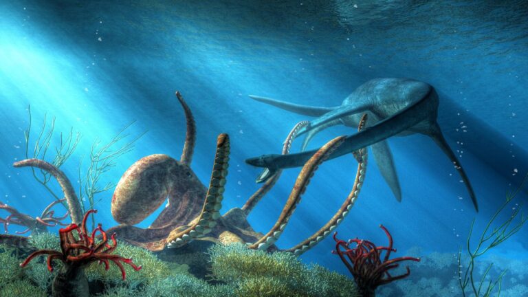 Cientistas descobrem existência de ‘Kraken’ na pré-história