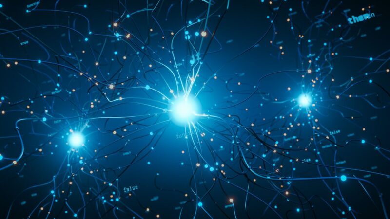 Primeiro ‘data center’ com neurônios humanos é inaugurado