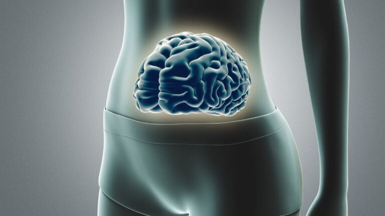 Médica de Harvard afirma que o ‘intestino é um segundo cérebro’